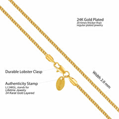 Gold Plated Franco Chain Necklace